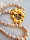 Pansy and Pearls